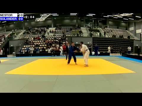 Finnish Judo Open 2018: M-90: NESTOR - SULANDER