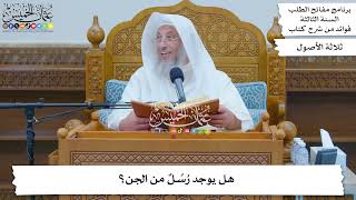 111 - هل يوجد رُسُلٌ من الجن؟ - عثمان الخميس