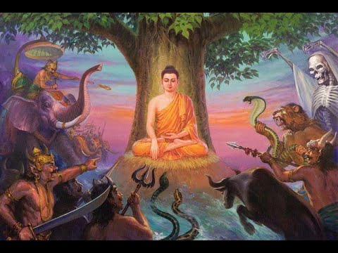 [Talk Gnosis] Dark Side of Meditation w/Anna Lutkajtis