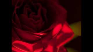 Download lagu Oblivion(忘却)Astor.Piazzolla /mandolin & guitar (collabo) mp3 Download lagu Oblivion(忘却)Astor.Piazzolla /mandolin & guitar (collabo) mp3