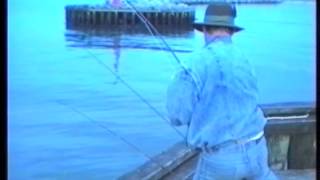 Multen - en underlig fisk