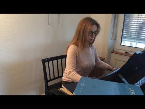 ZAUBERFLÖTE Sarastro - "In diesen heil'gen Hallen" - Accompaniment