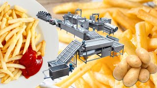 Automatic frozen french fries production line | 500kg/h modern french fries processing line