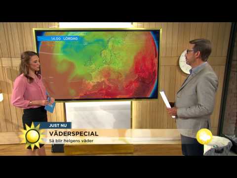 Väderspecial: "Influenser av högtryck kommande dagar" - Nyhetsmorgon (TV4)