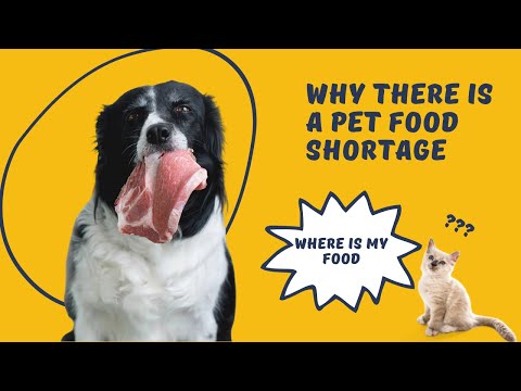 Why There Is A Pet Food Shortage in 2022? - What Cat Owner Do Now