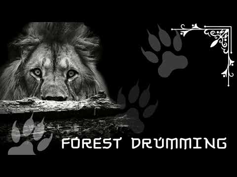 FOREST DRUMMING • Shamanic Drums • Activate Your Higher Mind • Journey for Trance & Meditation