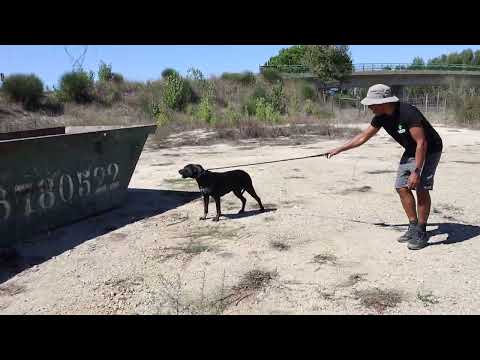Vídeo de BAREERAH