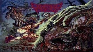 DIGESTED FLESH - The Answer To Infection