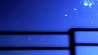 Marissa Nadler - Fifty Five Falls