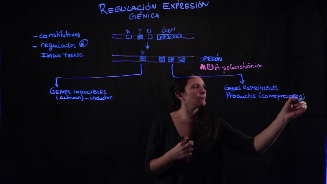 regulación expresión génica