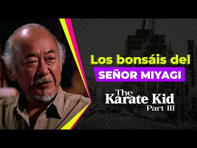 Vídeo relacionado con Miyagi-Do Karate Cool Bonsai Tree Regalo Juventud Camiseta