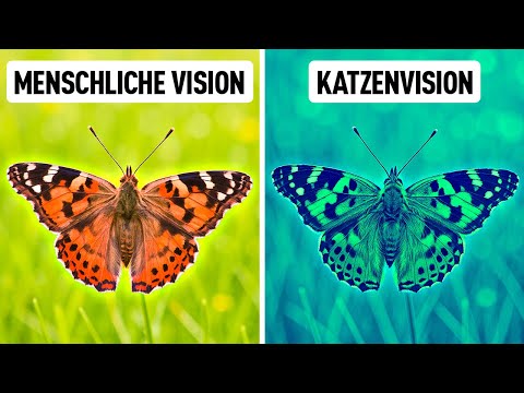 Über 100 verblüffende Fakten, die Sie zwingt, sie alle zu googeln