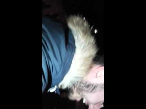 Pedro Vs Falcon | Coimbras Battles