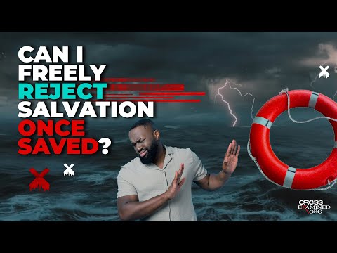 vp-g13