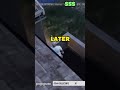 HUNTING The SECRET GTA SONG DJ Pooh HID In GTA Online GTA Collectibles USB Pendrive Easter Egg