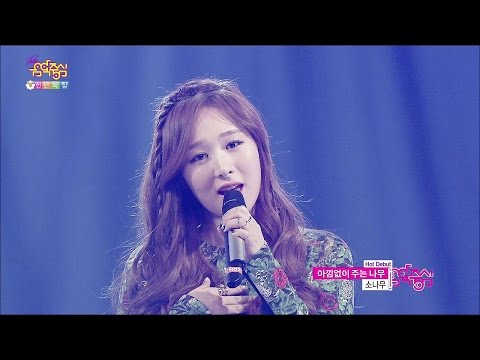 【TVPP】SONAMOOO - Everlasting Love, 소나무 - 아낌없이 주는 나무 @ Hot Debut, Show Music Core Live