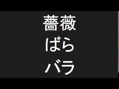 How do you pronounce? - bara, Rose, 薔薇