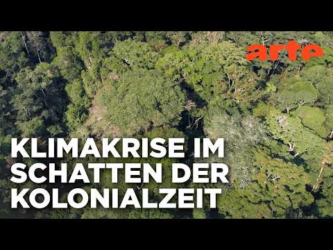 Video Thumbnail: Der Baum der Authentizität - Natur und Kolonialismus | Doku HD | ARTE