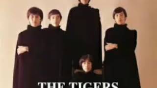 The Tigers - Smile For Me