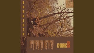 Cover art for rosier/punk2