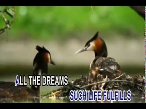 Hsa - uwc Holy Song - Garden Of Restoration…