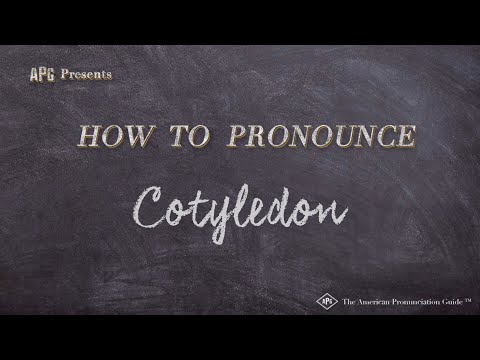 How to Pronounce Cotyledon (Real Life Examples!)