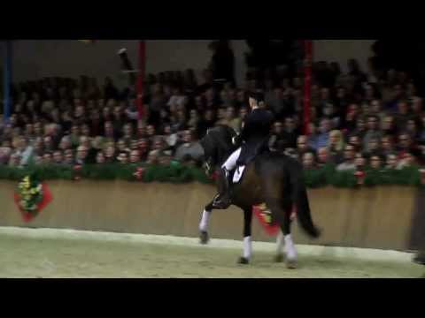 Rock Forever NRW  -Hengstpräsentation der Familie Sosath