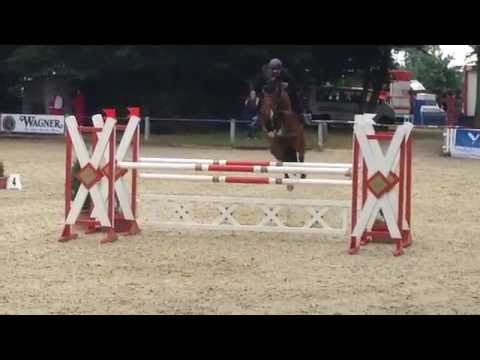 Quinja H Ichenheim Youngster-Tour M*