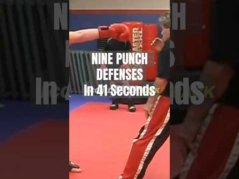 9 Punch Defenses in 41 Seconds #miketyson #karate #boxing
