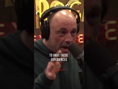 The Eleusinian Mysteries of Ancient Greece - Joe Rogan