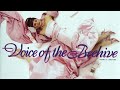 Voice Of The Beehive - Look at Me (2025 remaster) (from the Honey Lingers Deluxe) (lyrics)