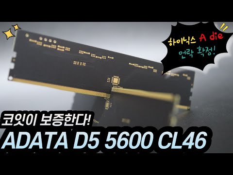 ADATA의 하이닉스 A다이 언락 메모리 DDR5 5600 CL46