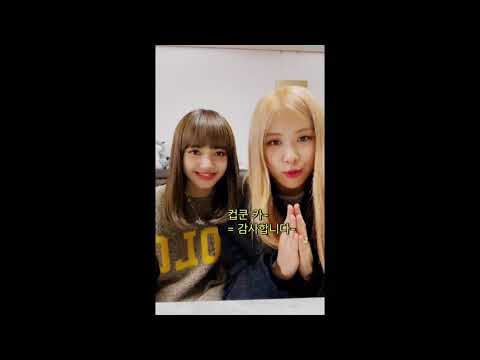 아이콘