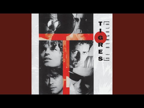 Agora Ou Jamais - Tigres de Bengala