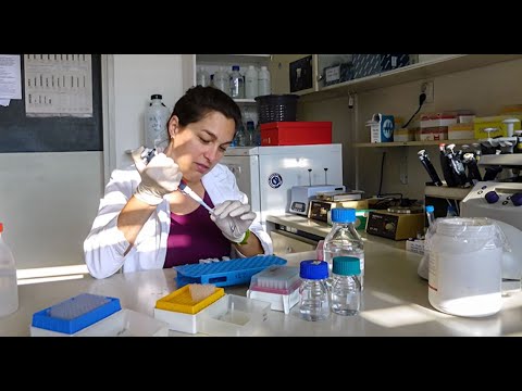 Alter Ego - 7 (23.06.2022.)