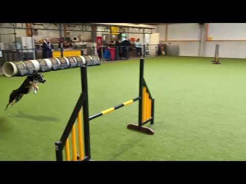 Agility