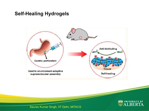 3-Minute Thesis | Self Healing Hydrogels | MITACS , University of Alberta , Canada