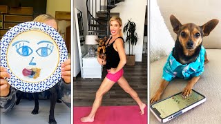 Funniest Dog Tik Tok Compilation (ft. @rebeccazamolo)