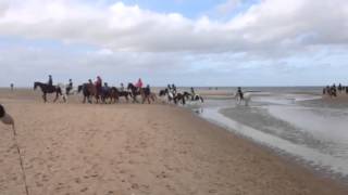 preview picture of video 'Dog Friendly Beaches in Norfolk'
