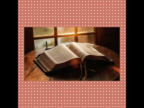 Jeremiah 20 – The Cost of Speaking God’s Truth🙏🏾📖 #BibleStudy #suchlove #shortfeed #shorts