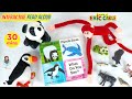 Panda Bear Panda Bear What Do You See Read Aloud Eric Carle Animated Stories Book Brown Bear