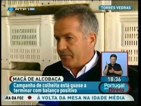 Clube da Maçã de Alcobaça | RTP 1
