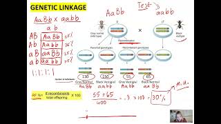 Genetics Unit: Gene Linkage, Recombination Frequency, and Application of Chi Square test