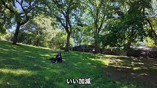 【兵庫県】青山繁晴どこ行った？｜兵庫自民党の凋落
