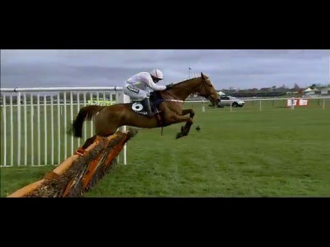 Highlights: Grand Opening Day 2016