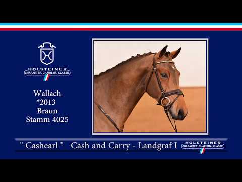 110 | Cashearl v. Cash and Carry - Landgraf I