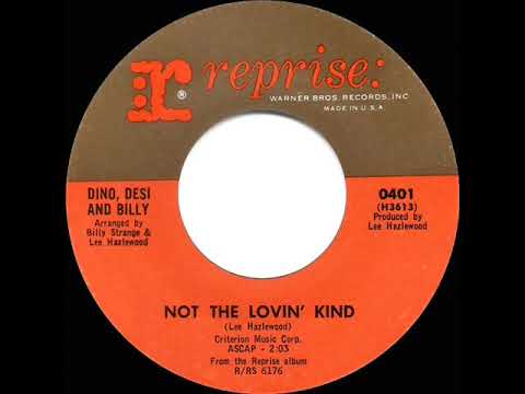 1965 HITS ARCHIVE: Not The Lovin’ Kind - Dino, Desi and Billy (mono 45)