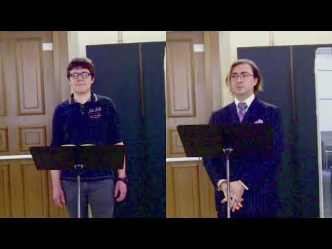 Die Zauberflöte - n. 2 Der Vogelfänger bin ich ja