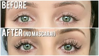 YUMI LASH LIFT EXPERIENCE + SEB'S BIRTHDAY! - Vlog | Kristi-Anne