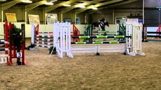 preview picture of video 'Unbelievable U UK 1.05 warm up before Blue Chip 1.10 class - 5yo - double clear 3rd'